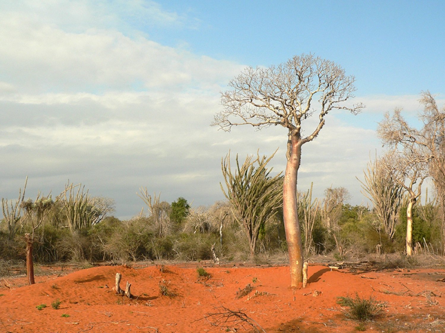 Photo : Aleix Cabarrocas Garcia (CC BY 2.0)